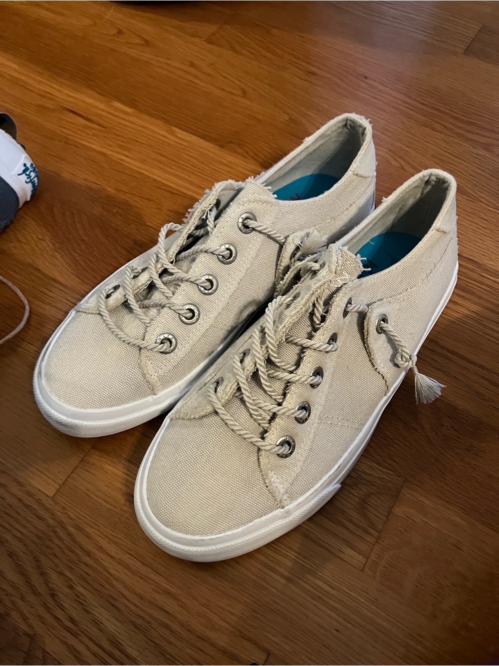 Canvas Lace-Up Sneakers in Beige with Braided Laces